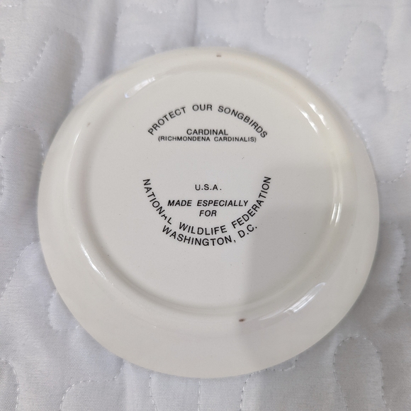 REDUCED TO SELL! National Wildlife snack plates, "Protect Our Songbirds" - Picture 7 of 9